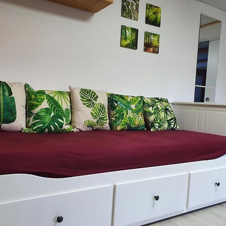 Apartment Happy Memories Титизее-Нойштадт Экстерьер фото
