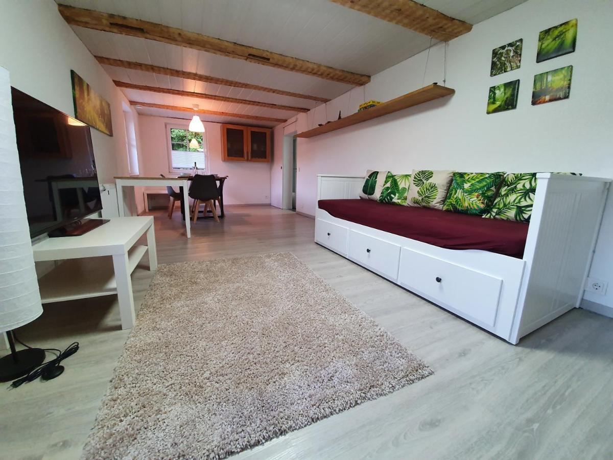 Apartment Happy Memories Титизее-Нойштадт Экстерьер фото